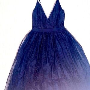 Express Midi Dark Blue Dress